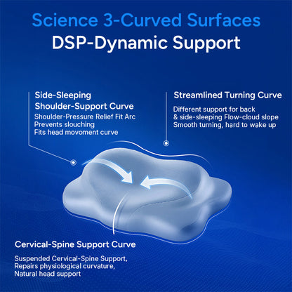 Beauty Contour Memory Pillow