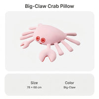 Big Claw Pillow