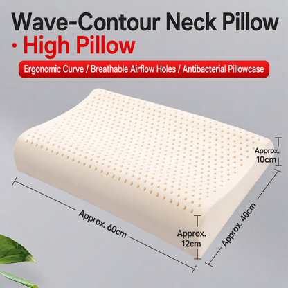 Latex Contour Pillow Pair