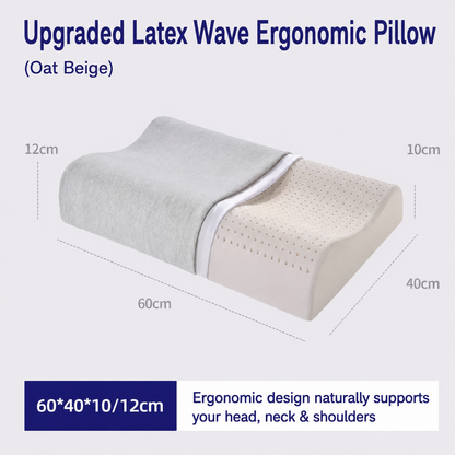 Dual-Pack Latex Antibacterial Pillow