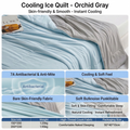 Bio-Silk Cooling Ice Quilt