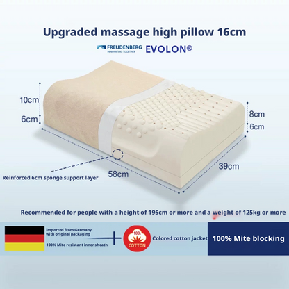 Natural Latex High-Loft Pillow