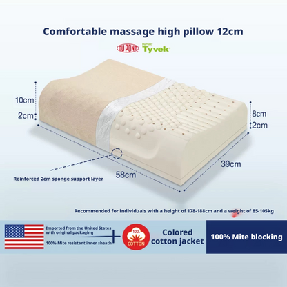 Natural Latex High-Loft Pillow