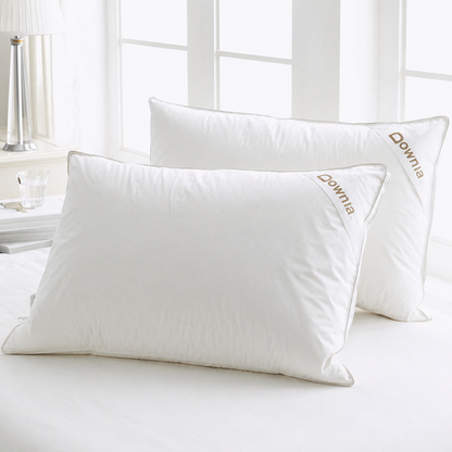 Hotel Goose Down Pillow