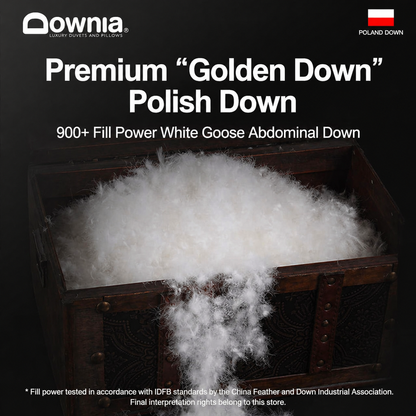 95% Goose Down Duvet