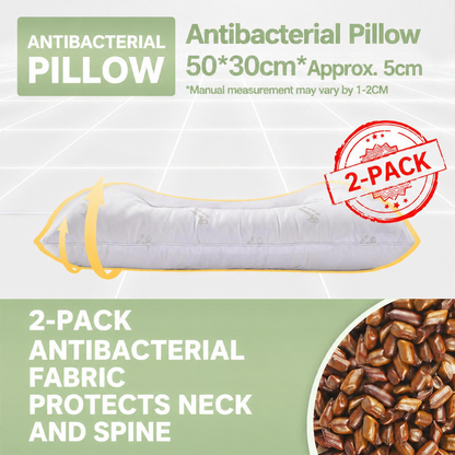 Cassia Seed Pillow Pair