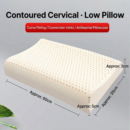 Latex Contour Pillow Pair