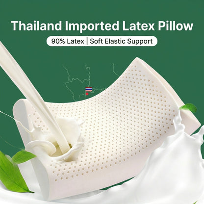 Latex Contour Pillow Pair