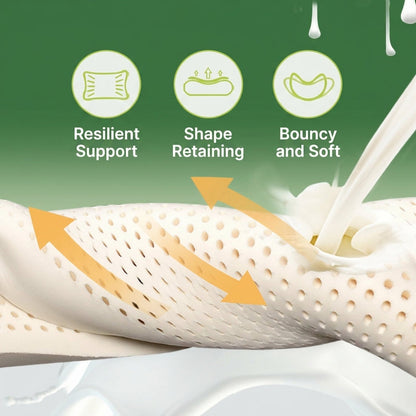 Latex Contour Pillow Pair