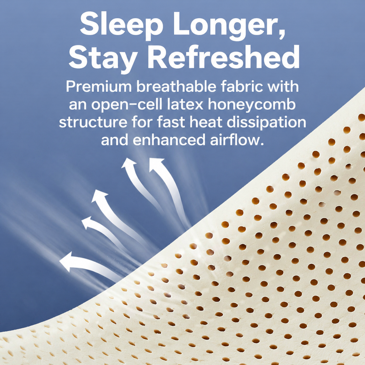 Natural Latex Contour Pillow