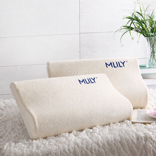 Cervical Memory Foam Pillow